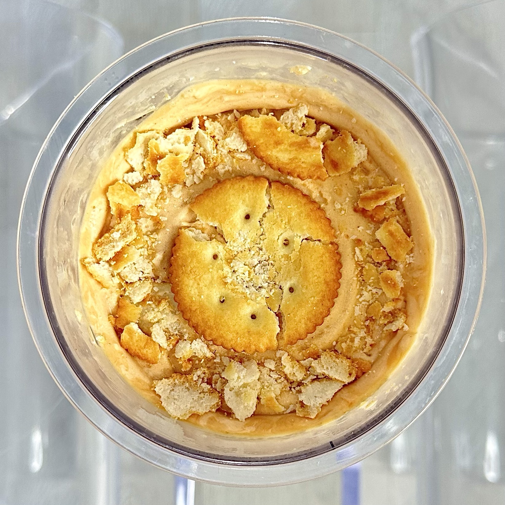 Peanut Butter Ritz Protein Ice Cream